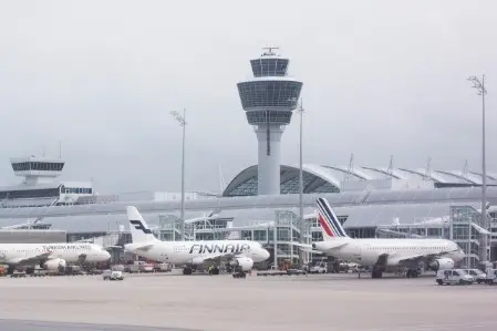 Entreprise de dératisation à Paris 