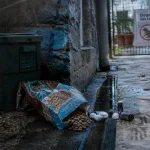Comment eloigner des rats : barrières, odeurs et colmatage pour stopper l’intrusion