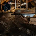 Nuisible comble : crottes et bruits dans les combles