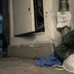 Rat mort odeur dans cloison, détecter et agir