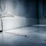 Insecte argent (lépisme) près de la plinthe de salle de bain