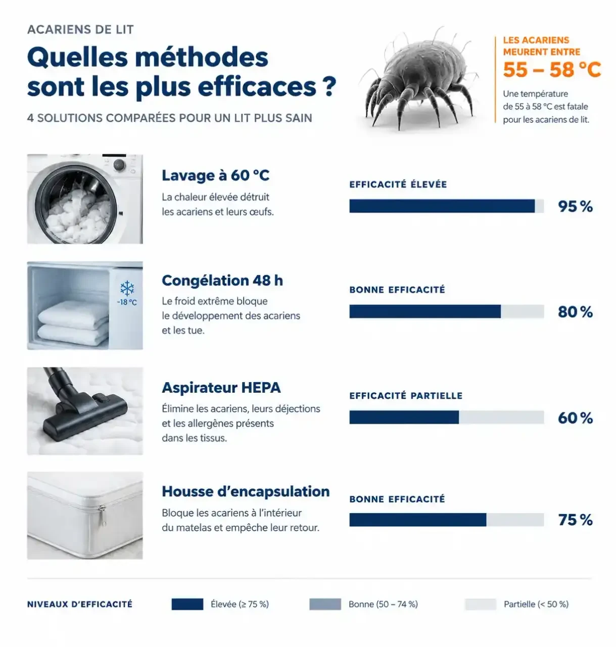 Infographie comparant l'efficacité des méthodes contre les acariens de lit : lavage à 60 °C, congélation, aspirateur HEPA et housse