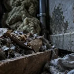 Nid de rats actif : crottes et matériaux froissés dans un coin sombre